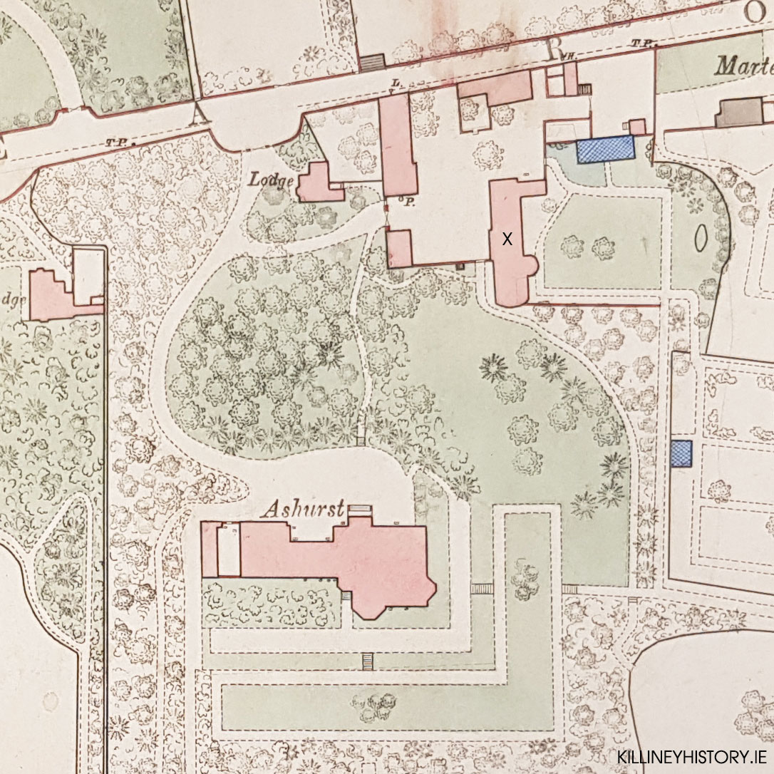 Ashurst Killiney History