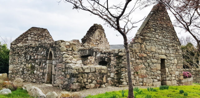 Featured Article – January 2023. Killiney Old Church – Cill Iníon Léinín