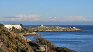 KHS visit to Dalkey Island on Wed 2nd July